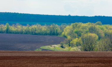 Alan sürülmüş, ekilen hububat. Bahar günü sürülmüş alana. Siyah toprak sürülmüş alan. Mavi gökyüzünde sürülmüş alan