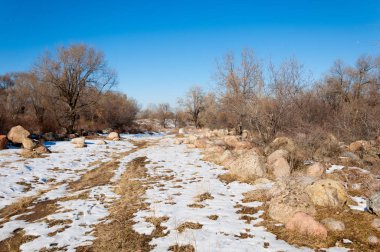  kayalar ve woods, erken Bahar yatay