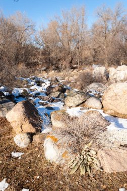  kayalar ve woods, erken Bahar yatay