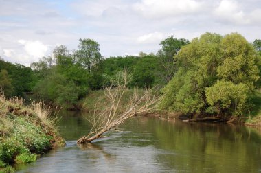 Bahar Nehri,, ağaç bahar güneş büyür..
