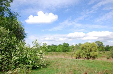 Bahar Nehri,, ağaç bahar güneş büyür..