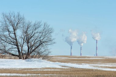 Huş ağacı yaprakları, petrol sallanan solmuş çim, toprak işleme bahar. Geçen kış kar altında