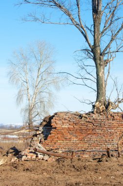Bahar. Son kar. Yalnız ağaç. Kırık tuğla duvar