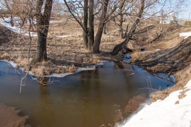 Bahar Orman, solmuş çimen, son kar, sıcak bahar günü, masaüstü duvar kağıtları. Bu fotoğraf iyi tasarım çözümü