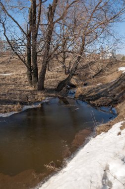 Bahar Orman, solmuş çimen, son kar, sıcak bahar günü, masaüstü duvar kağıtları. Bu fotoğraf iyi tasarım çözümü. Kunduzlar bir baraj inşa