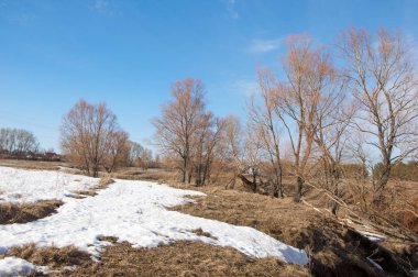 Bahar Orman, solmuş çimen, son kar, sıcak bahar günü, masaüstü duvar kağıtları. Bu fotoğraf iyi tasarım çözümü. 