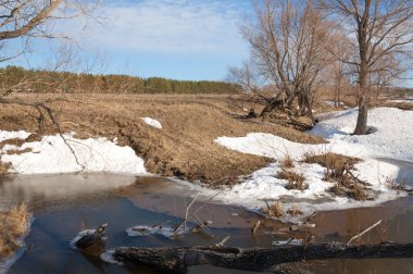 Bahar Orman, solmuş çimen, son kar, sıcak bahar günü, masaüstü duvar kağıtları. Bu fotoğraf iyi tasarım çözümü. Kunduzlar bir baraj inşa