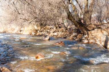 Sıcak, sevgi güneş son bahar kar