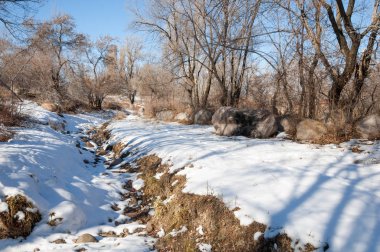 Sıcak, sevgi güneş son bahar kar