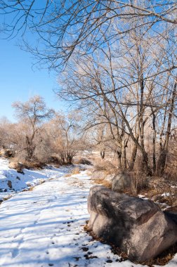Sıcak, sevgi güneş son bahar kar