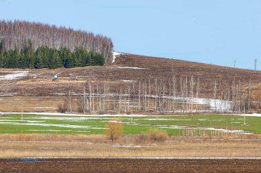 Huş ağacı yaprakları, petrol sallanan solmuş çim, toprak işleme bahar. Geçen kış kar altında