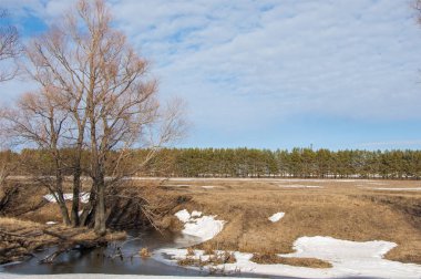 Brook bahar. güneşli bir bahar brooks suda eriyen doku. nehir dere dere. Bahar Nehri üzerinde buz erime. 
