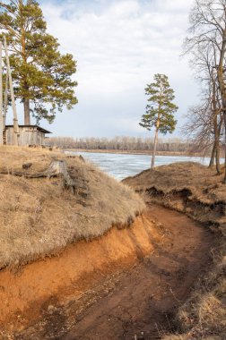 Bahar çam ormanı. Nehir buz. bahar mevsimi. Bahar, Bahar, springtide, birinci sınıf. sezon sonra kış ve yaz önce hangi bitki örtüsü gelmeye başladı, 