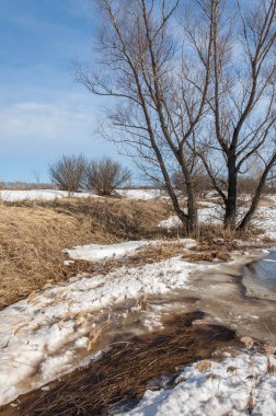 Brook bahar. güneşli bir bahar brooks suda eriyen doku. nehir dere dere. Bahar Nehri üzerinde buz erime. 