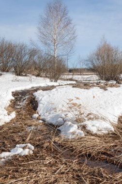 Brook bahar. güneşli bir bahar brooks suda eriyen doku. nehir dere dere. Bahar Nehri üzerinde buz erime. 
