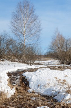 Brook bahar. güneşli bir bahar brooks suda eriyen doku. nehir dere dere. Bahar Nehri üzerinde buz erime. 