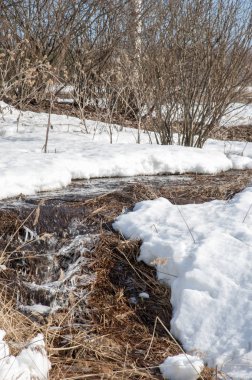 Brook bahar. güneşli bir bahar brooks suda eriyen doku. nehir dere dere. Bahar Nehri üzerinde buz erime. 