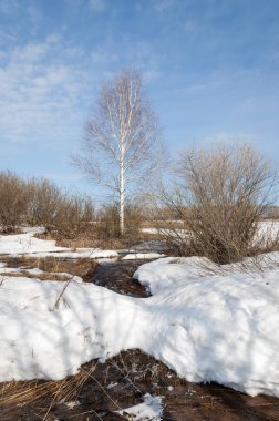 Brook bahar. güneşli bir bahar brooks suda eriyen doku. nehir dere dere. Bahar Nehri üzerinde buz erime. 