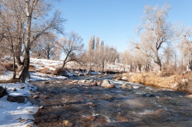 Sıcak, sevgi güneş son bahar kar