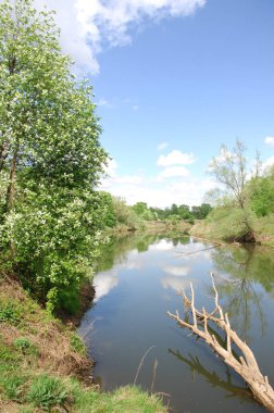 bahar Nehri. Nehir ve bahar orman. Doğa kompozisyon. Bahar Nehri bulutlarda yansımanın. Ağaçlar ilkbaharda bir nehir kıyısında