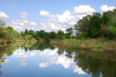 bahar Nehri. Nehir ve bahar orman. Doğa kompozisyon. Bahar Nehri bulutlarda yansımanın. Ağaçlar ilkbaharda bir nehir kıyısında