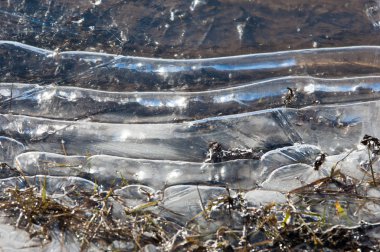 doku. Donmuş su birikintisi, Bahar, buz kalıpları. 