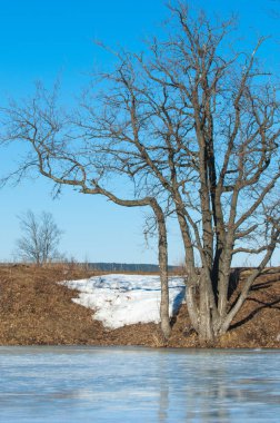 Donmuş gölün bahar. Bahar buz