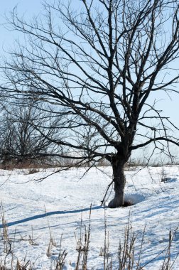 Donmuş gölün bahar. Bahar buz