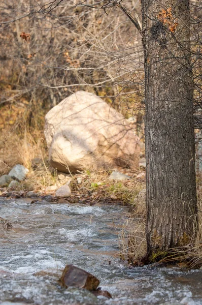 su küçük bir nehir erken ilkbahar akarsu. Bahar sahne. donmuş bir dere ile dağ manzarası