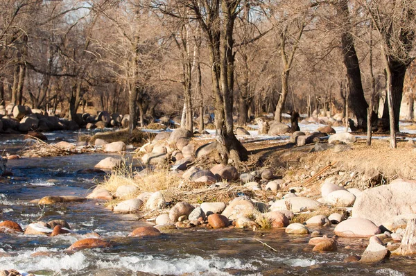 Água Corrente Pequeno Rio Início Primavera Cena Primavera Paisagem Montanha — Fotografia de Stock