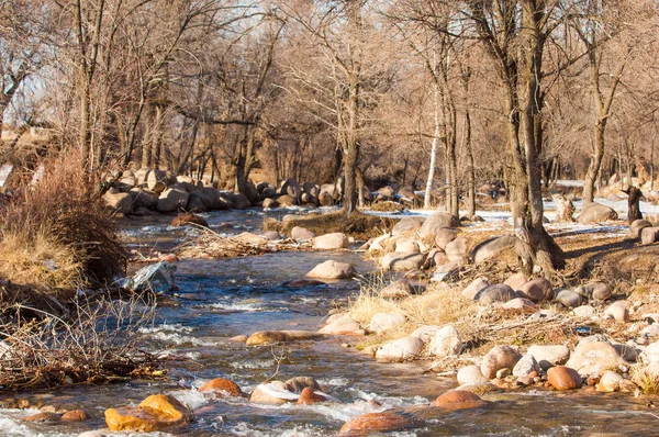 Eau Courante Dans Une Petite Rivière Début Printemps Scène Printemps — Photo