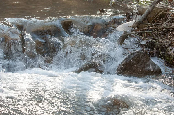 Acqua Corrente Piccolo Fiume Primavera Scena Primaverile Paesaggio Montano Con — Foto Stock