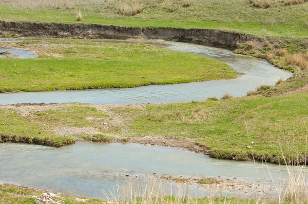 willow, Tien Shan eteklerinde büyüyen sahilde bahar creek