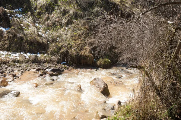 dağ nehir. dağ nehir çamurlu su akan