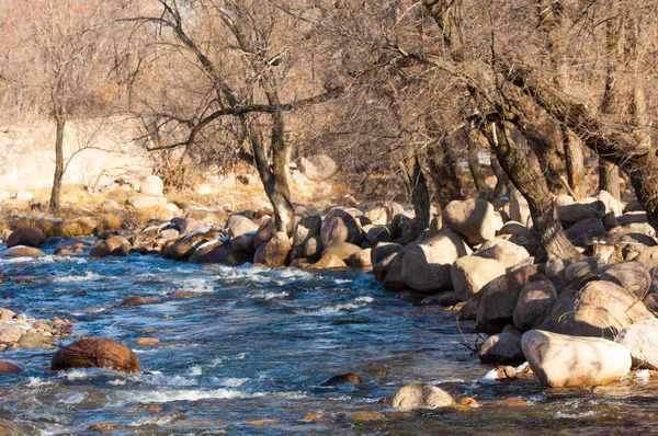 Acqua Corrente Piccolo Fiume Primavera Scena Primaverile Paesaggio Montano Con — Foto Stock