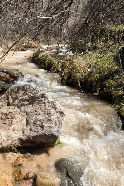dağ nehir. dağ nehir çamurlu su akan