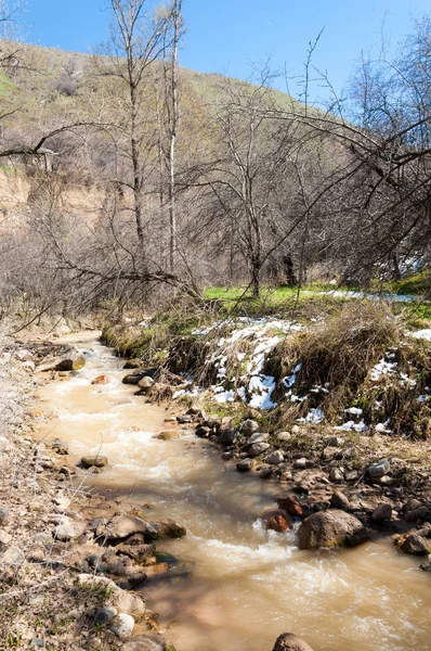 dağ nehir. dağ nehir çamurlu su akan