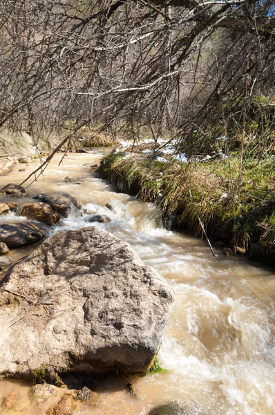 Berg Rivier Berg Rivier Stromend Modderig Water — Stockfoto