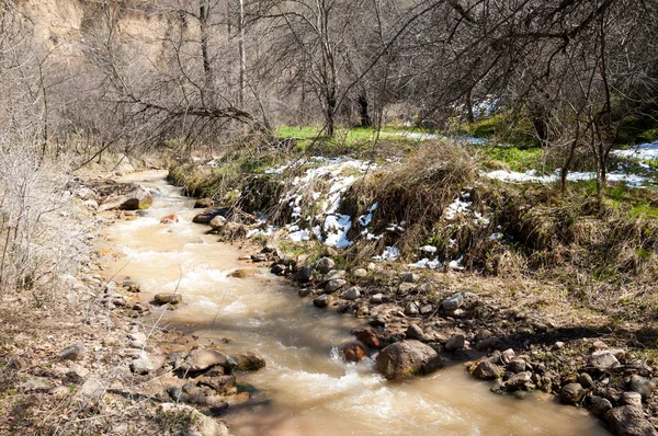 dağ nehir. dağ nehir çamurlu su akan