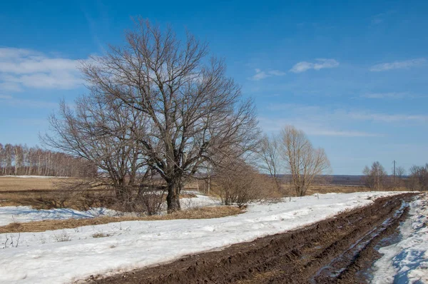 Primavera Tolto Strade Fuori Strada Fango Sulla Strada — Foto Stock