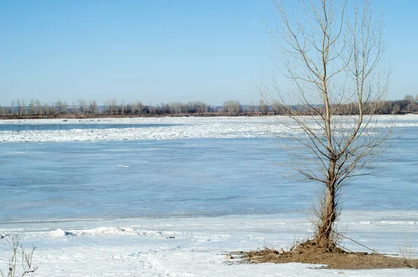 River flood. Torn river ice. River with the last ice. Russia Tatarstan Kama river in early spring