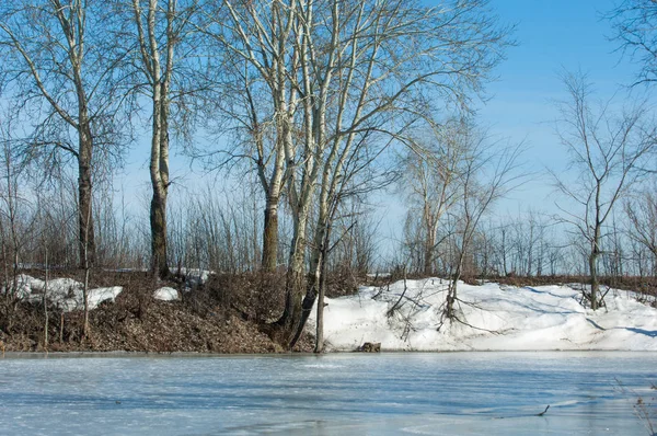 Donmuş gölün bahar. Bahar buz