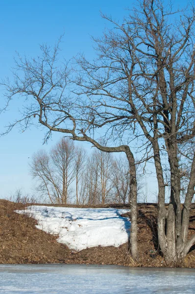 Donmuş gölün bahar. Bahar buz