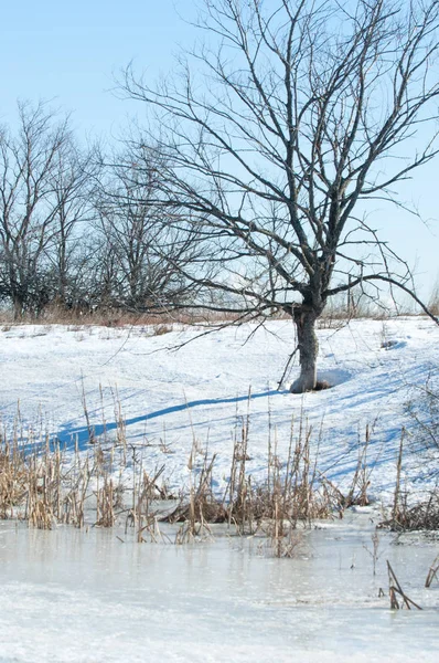 Donmuş gölün bahar. Bahar buz