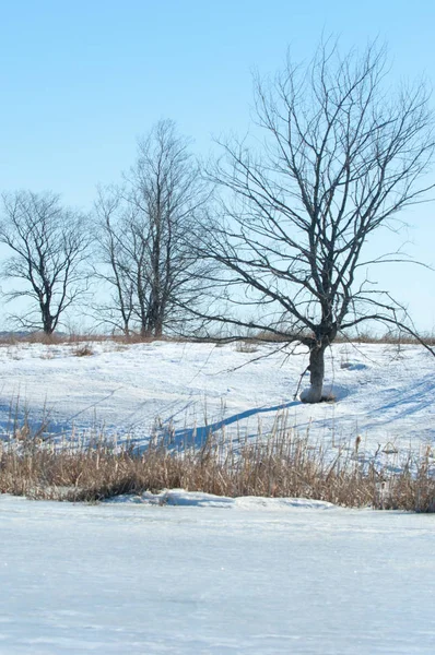 Donmuş gölün bahar. Bahar buz