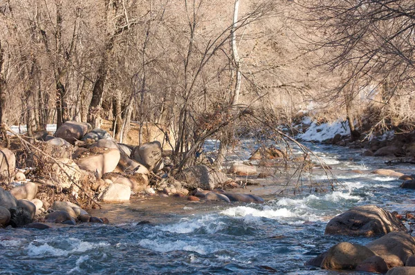 Agua Corriente Pequeño Río Principios Primavera Escena Primavera Paisaje Montaña —  Fotos de Stock