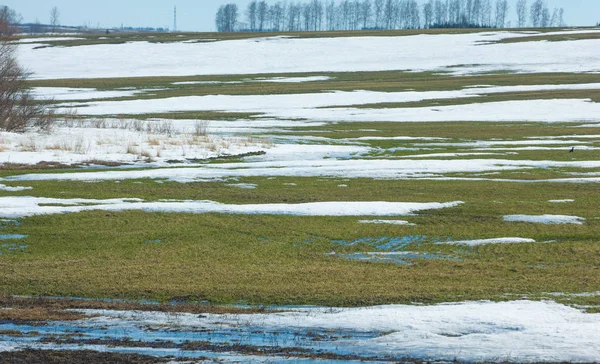 Nieve Primavera Invierno Pasado Los Árboles — Foto de Stock