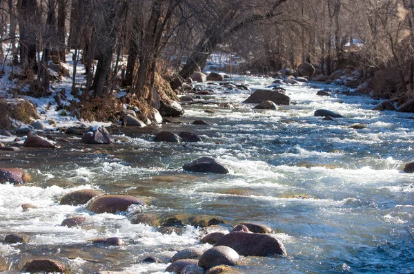 Acqua Corrente Piccolo Fiume Primavera Scena Primaverile Paesaggio Montano Con — Foto Stock