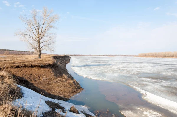 Bahar River, buz Nehri üzerinde. çıplak ağaçlar ve mavi gökyüzünde güzel bulutlar güzel bahar manzara nehir buz ile erimiş