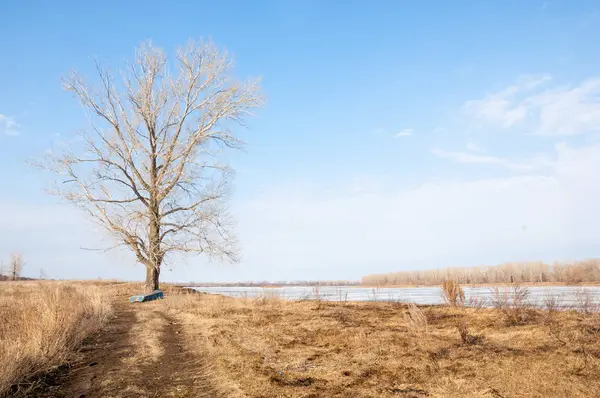 Bahar River, buz Nehri üzerinde. çıplak ağaçlar ve mavi gökyüzünde güzel bulutlar güzel bahar manzara nehir buz ile erimiş